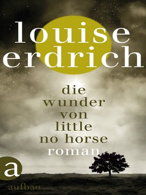 cover image of Die Wunder von Little No Horse